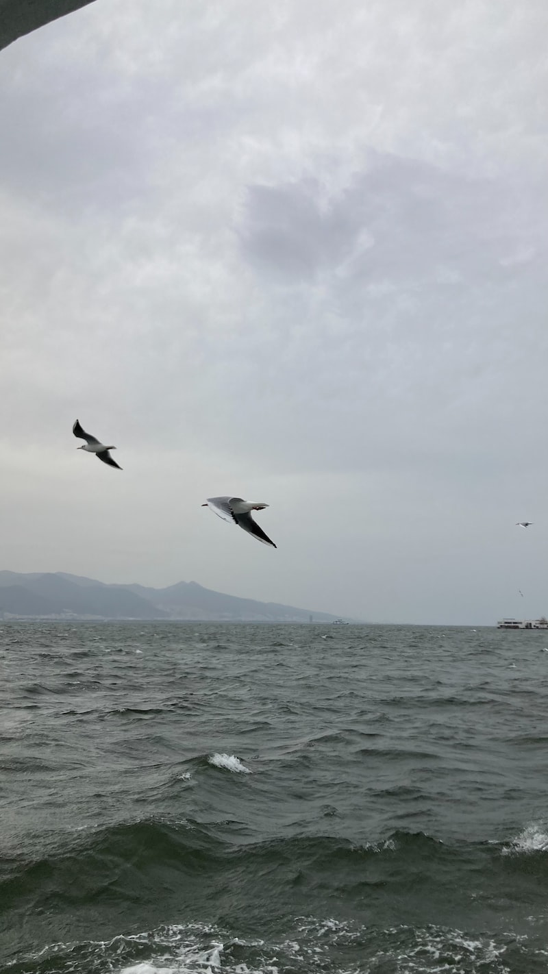 Konak Askeri Eğitim Programları Konak Askeri Eğitim Programları