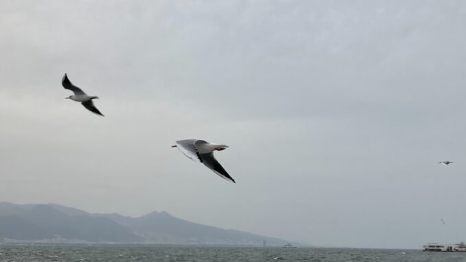 uploaded-image-konak-askeri-torenleri-1698140402388