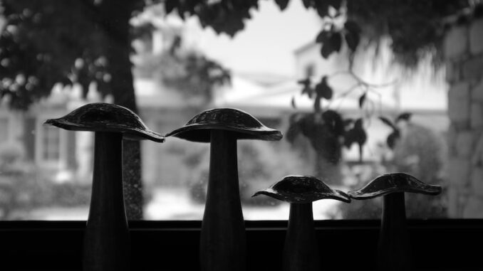 uploaded-image-konakta-turizm-potansiyeli-1698140388319