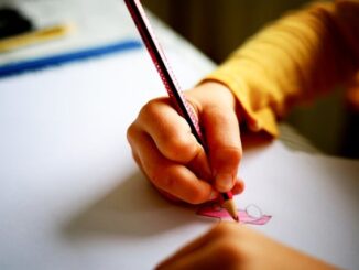 Konaklı’da Eğitim Projeleri